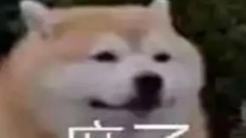 国脚联赛出场率不足半数，状态存疑？《足球报》深入剖析