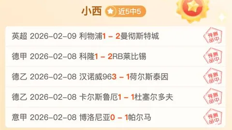 阿根廷杯激情对决：昨日激战，6胜4负，跨级较量见证攻防风云！