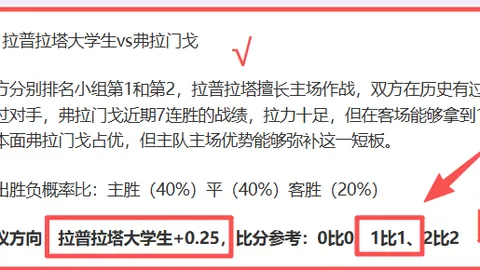 “2025韶山越野赛圆满落幕，未来之光熠熠生辉至3月25日”